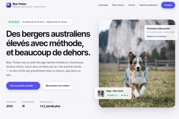 Site d’élevage de Berger Australien : Le moderne premium