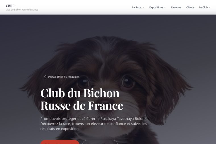 Site d’élevage de Bichon Russe : Club du Bichon Russe de France