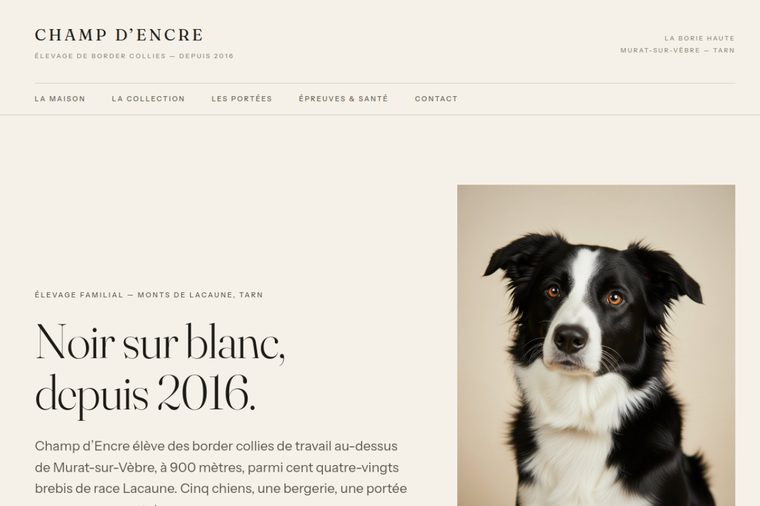 Site d’élevage de Border Collie : L’éditorial sensible