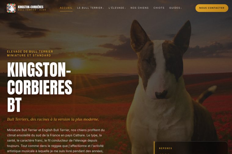 Site d’élevage de Bull Terrier : Le caractère assumé