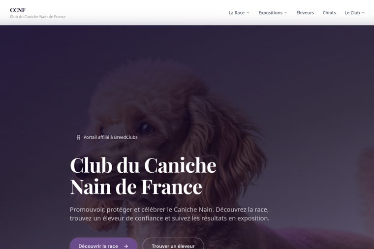 Site d’élevage de Caniche Nain : Club du Caniche Nain de France