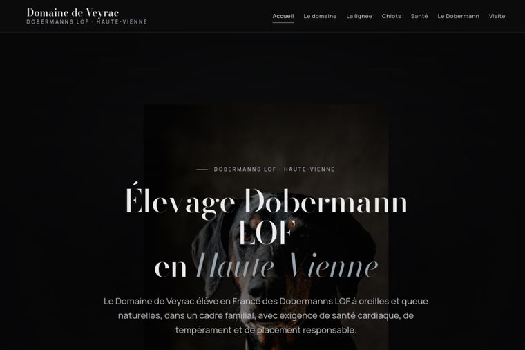 Site d’élevage de Dobermann : Le domaine sombre