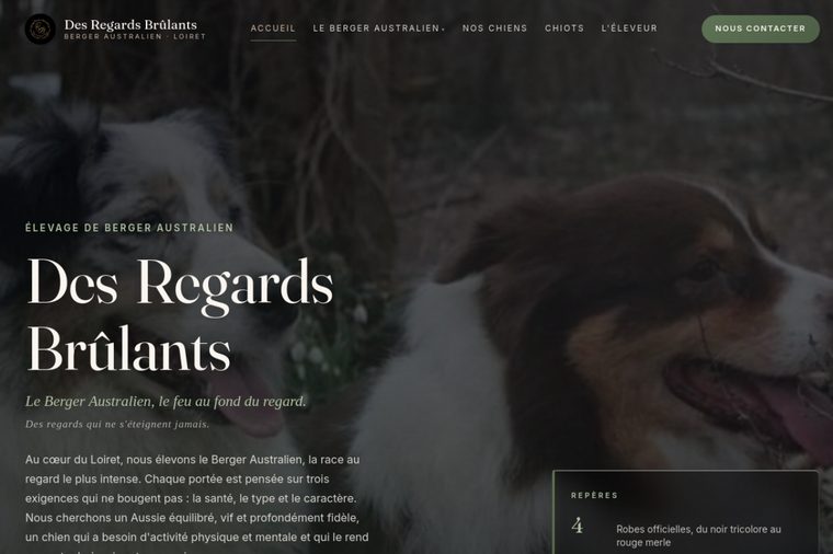 Site d’élevage de Berger Australien : Le regard éditorial