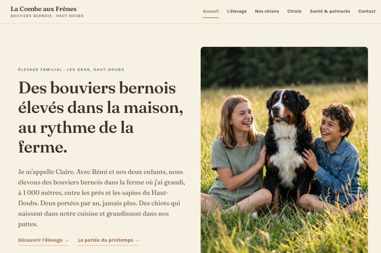 Site d’élevage de Bouvier Bernois : Le chaleureux