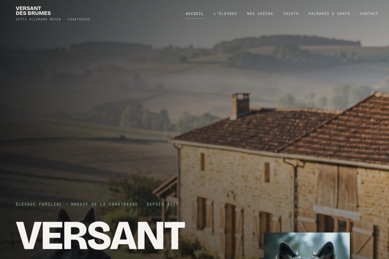 Site d’élevage de Spitz nain : Le cinématographique