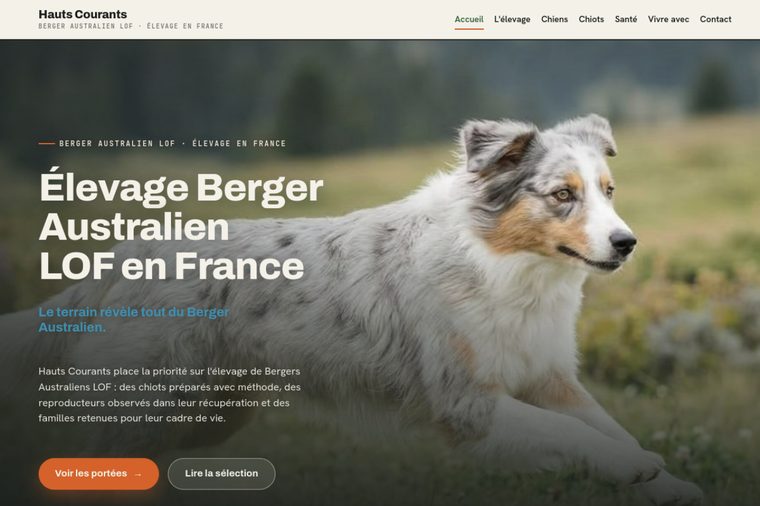 Site d’élevage de Berger Australien : Le grand format