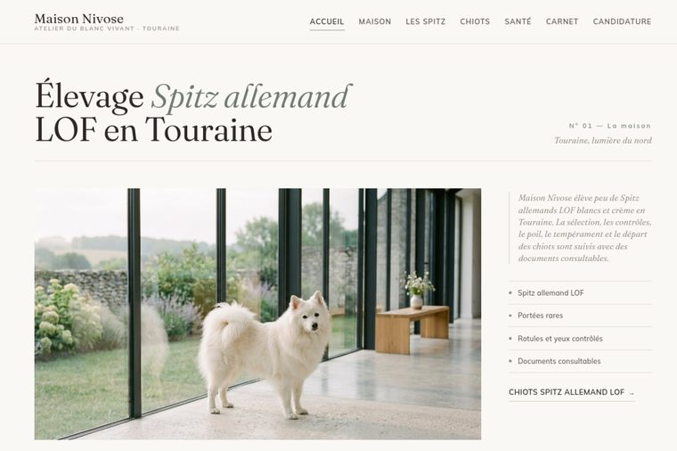 Site d’élevage de Spitz allemand : L’éditorial régional